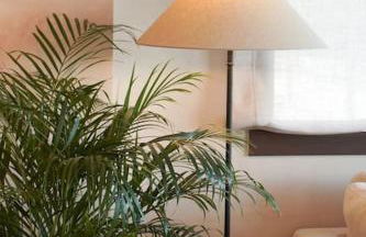 Casa Vinyanova - Foto 13