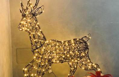 Il Giardino Dorato - Foto 13