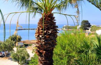 Nikoleta's Studios - Photo 43