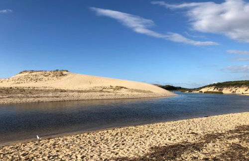 Chaleureux appartement à 500m de l’océan et 150m du Golf Moliets-Plage - Foto 25