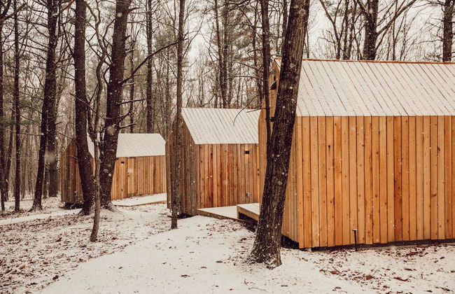 Gather Greene - Foto 18