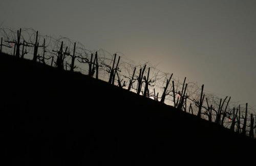 Casa Nonna Teresa - Foto 29