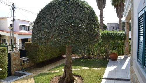 Magnifique Villa à 10min de la mer - Foto 4