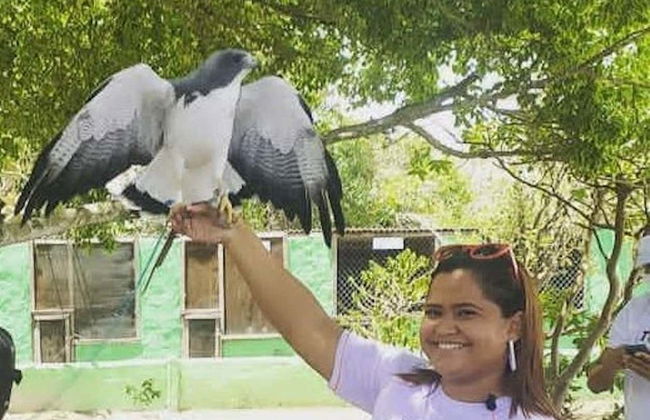 Excursion au parc des faucons - Photo 6