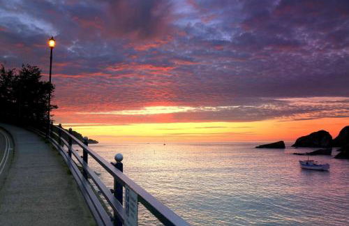 Where Families Reconnect And Dogs Truly Belong - Foto 12