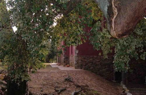 Apartamentos Rurales La Oropendola - Foto 15