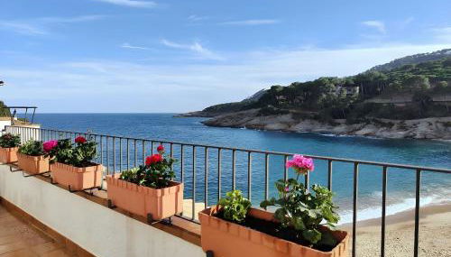 Tamariu Platja · Unforgetable Terrace ACWifi - Foto 3