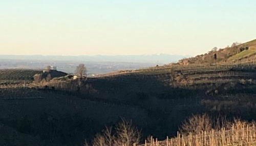 Agriturismo la Preara - Foto 5