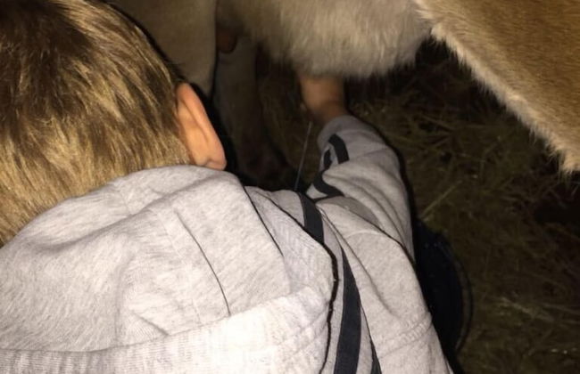 Eco Urbión - Foto 28