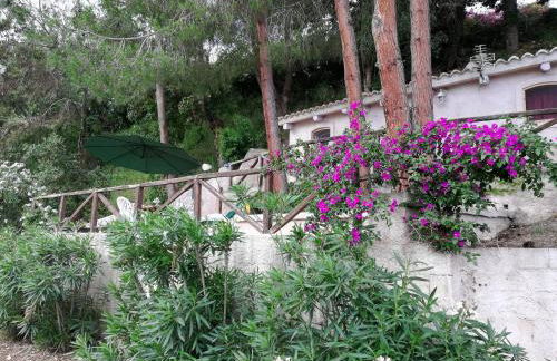 Appartamenti Salato - Foto 16