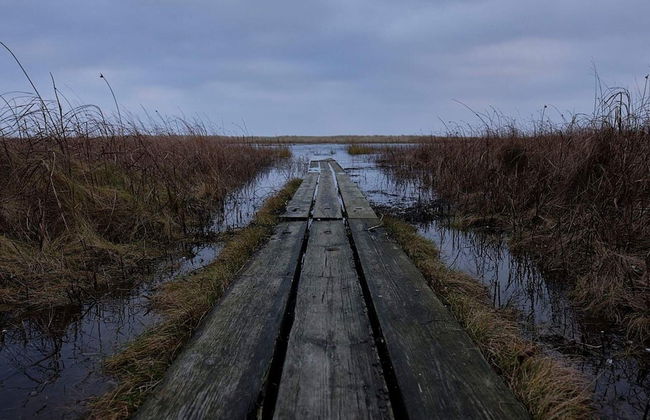 Lovely Holiday Home in Jutland near Sea - Foto 4