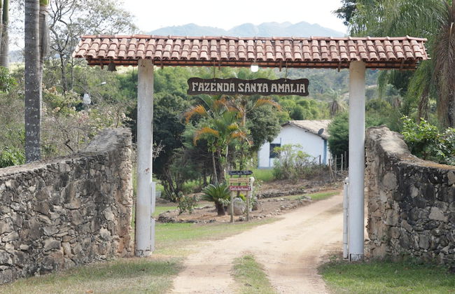Fazenda Santa Amalia - Foto 6