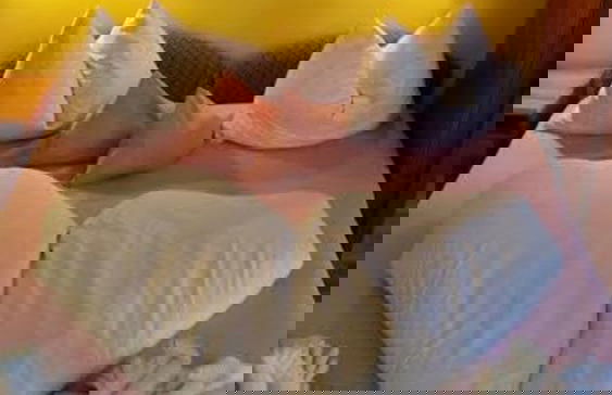 Toldi Apartman - Foto 4