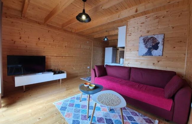 Ivana Houses Ada Bojana - Foto 21