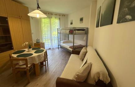 Presolana House - Photo 46