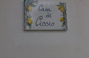 Villa Giardino degli oleandri Palinuro - Foto 37