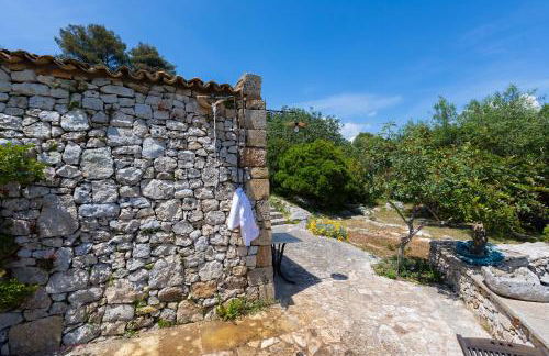 Pajara Rugiada - Foto 40