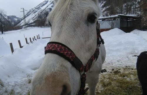 Appartamento Sole - Foto 4