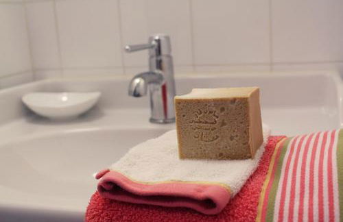 Domaine de la Brette - Photo 56