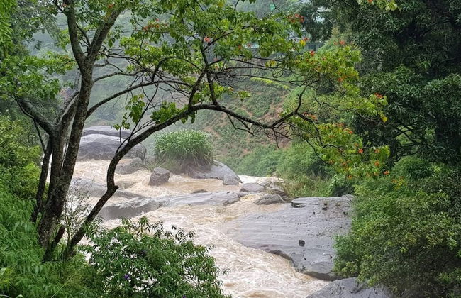 Residence Kuruniyavilla - Photo 78