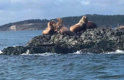 TideAway Farm on Private Island! Escape & Indulge Mother Nature! - Foto 7