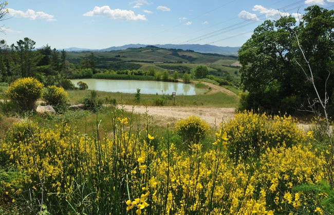 Agriturismo Belmonte Vacanze - Foto 40