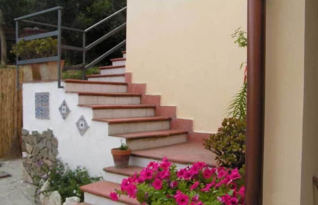 Gli Ulivi Agriturismo - Foto 67