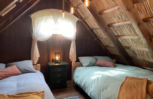 Agroturystyka Mirabelkowe Zacisze - Foto 59