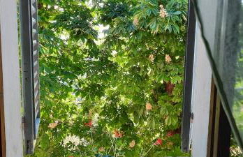 Agriturismo Villino Bellavista - Photo 69