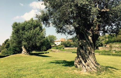 Casa dos Macieis - Entire Main House, Entire Guesthouse or Separate Wing of Main House - Camino Santiago direct access & Optional Agritourism - Foto 9