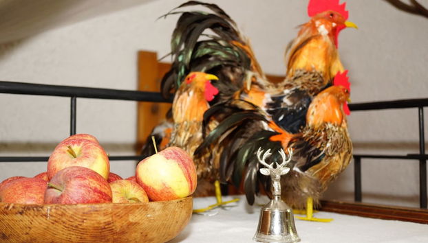 Entrada (vista interior)