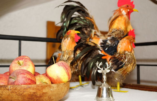 Alpbach Bergwald - Foto 2