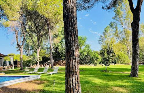 Villa Vida Libre - Foto 46