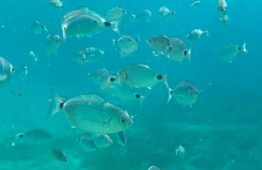 Apartamento Casa Gallardo - Foto 53