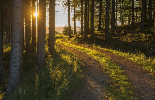 Ferienhaus Weitblick - Photo 34