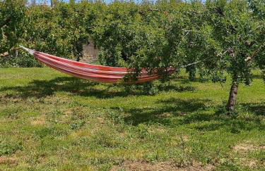 Casa Luka Etxea - Foto 8