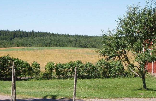 8 Person Holiday Home in Vimmerby - Foto 24