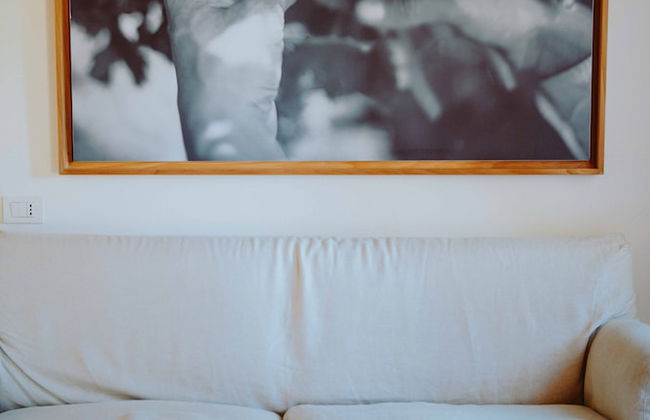 Tenuta Pianirossi - Photo 23