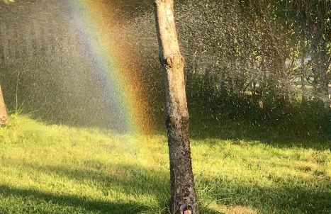 El Molino de Manolo - Photo 11