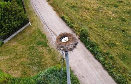 Stara Stolarnia - Foto 24