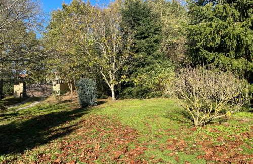 Borie Grande - Foto 20