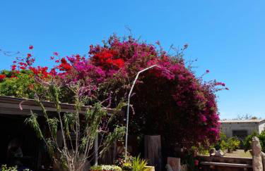 Su Giardinu - Foto 3