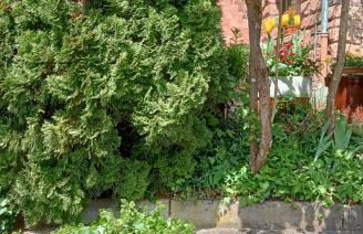 Casa la Collina delle Ginestre - Foto 2