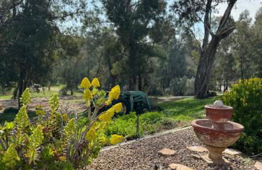 San Diego Trail Guest Ranch - Foto 38