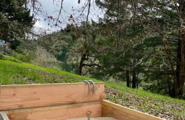 Avenue of the Giants Caraway Cottage (#3) - Foto 24