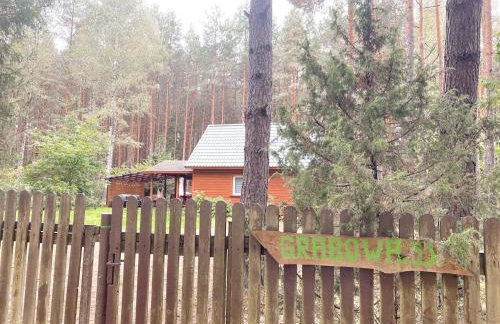 Chata przy lesie - Foto 48