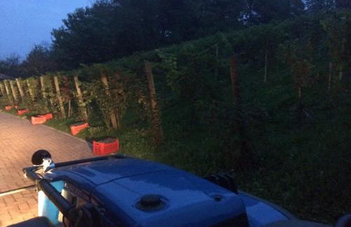 Sangrato 1883 - Foto 42