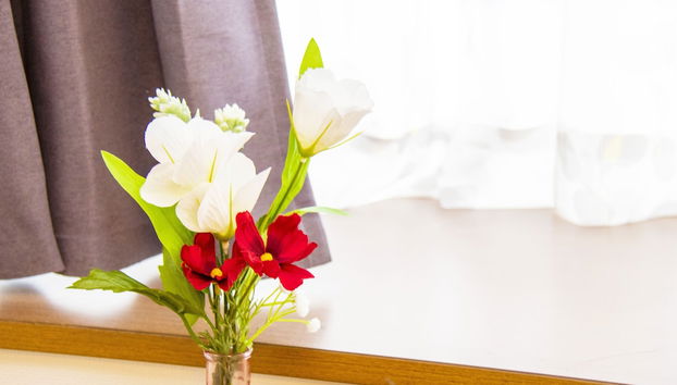 Grande Shagi GS504 - Photo 5, Room