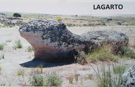 Antiguo Horno de María y Mielgo - Foto 47