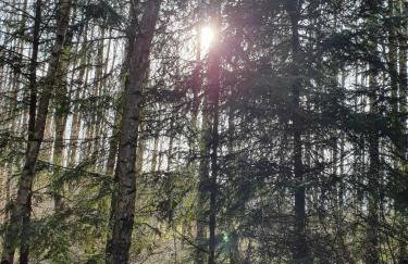 Dom na Warmii -Siedlisko Jabłonka - Foto 75